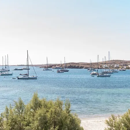 Play A Member Of Brown Parikia (Paros)