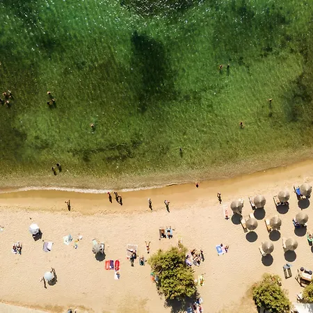 Play A Member Of Brown * Parikia (Paros)