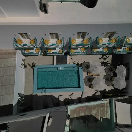 Play A Member Of Brown Parikia (Paros)