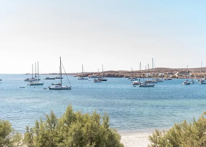 Play A Member Of Brown Páros