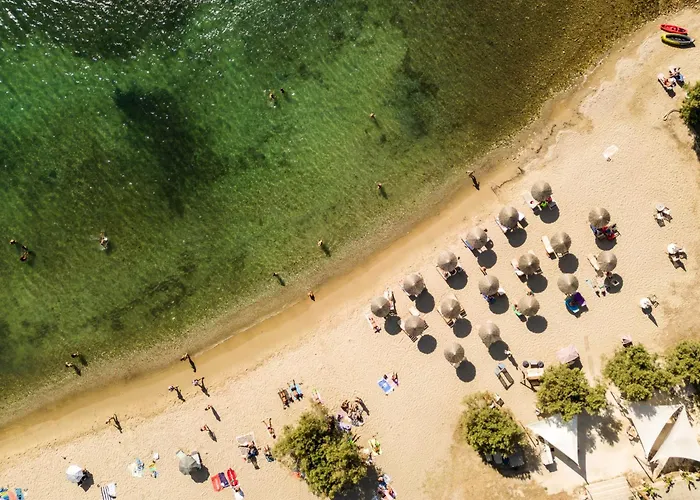 Play A Member Of Brown Hotel *