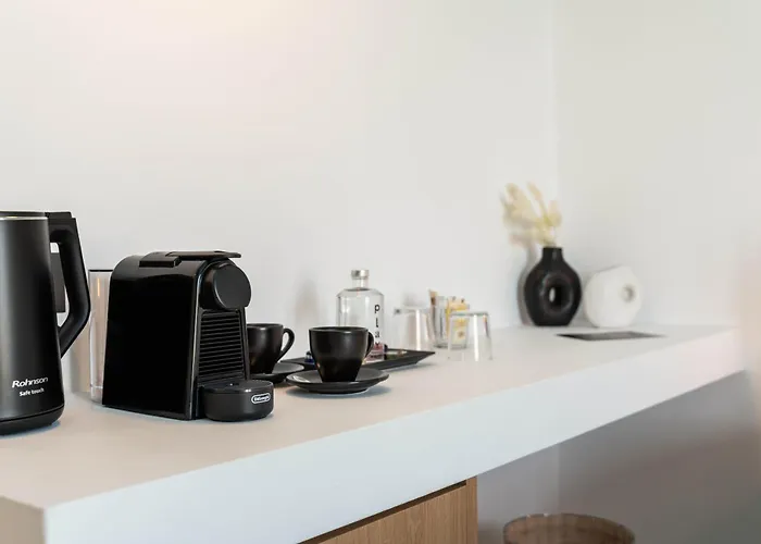 Play A Member Of Brown Páros