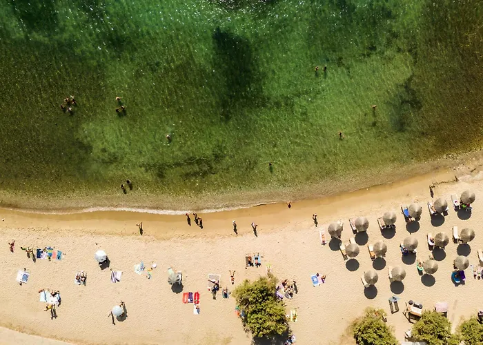 Play A Member Of Brown * Páros