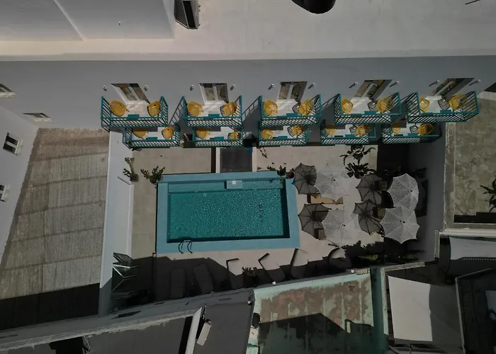 Play A Member Of Brown Páros