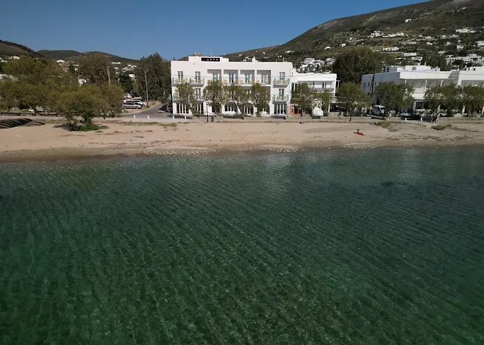 Play A Member Of Brown Páros