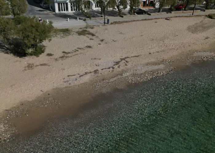 Hotel Play A Member Of Brown